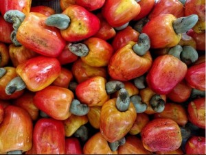 Công dụng làm thuốc của quả Điều